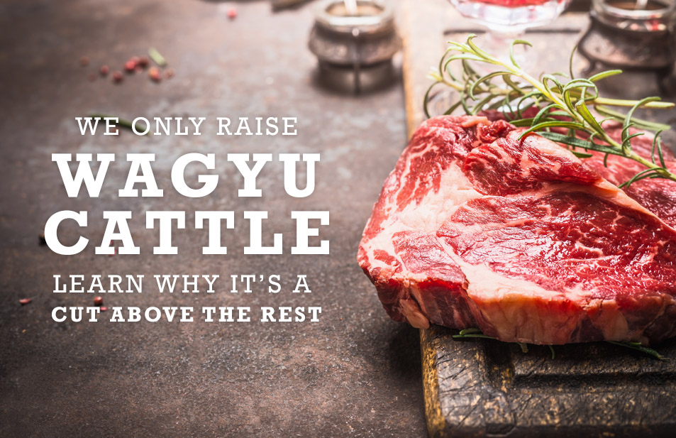 Wagyu Steaks and Beef From East Texas Texas Beefhouse